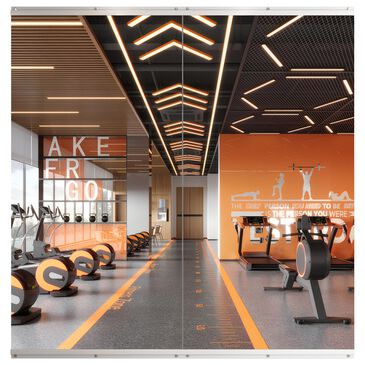 HOMLUX 36" x 72" Frameless Full Length Wall Mounted Fitness Mirror in Silver (Set of 2), , large