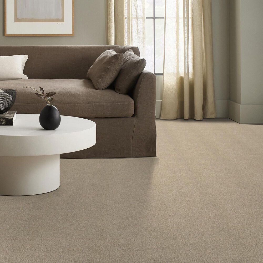 Shaw Tonal Comfort I Carpet in Walk On The Beach, , large