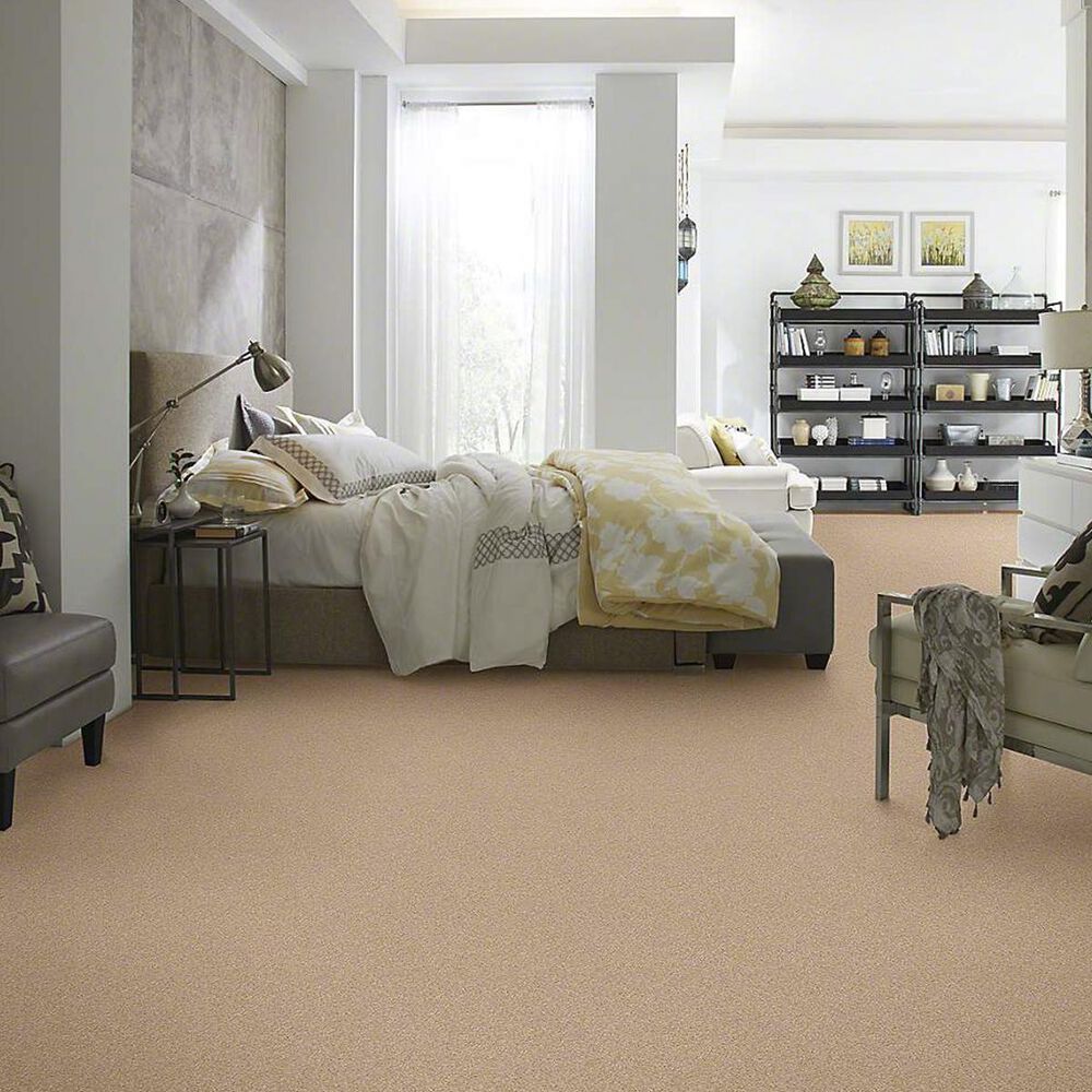 Shaw Barracan Classic I Carpet in Maplewood North, , large