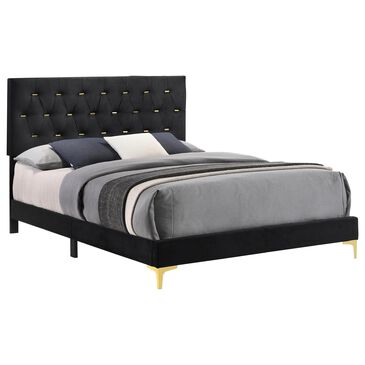 Pacific Landing Kendall California King Bed in Black and Gold, , large
