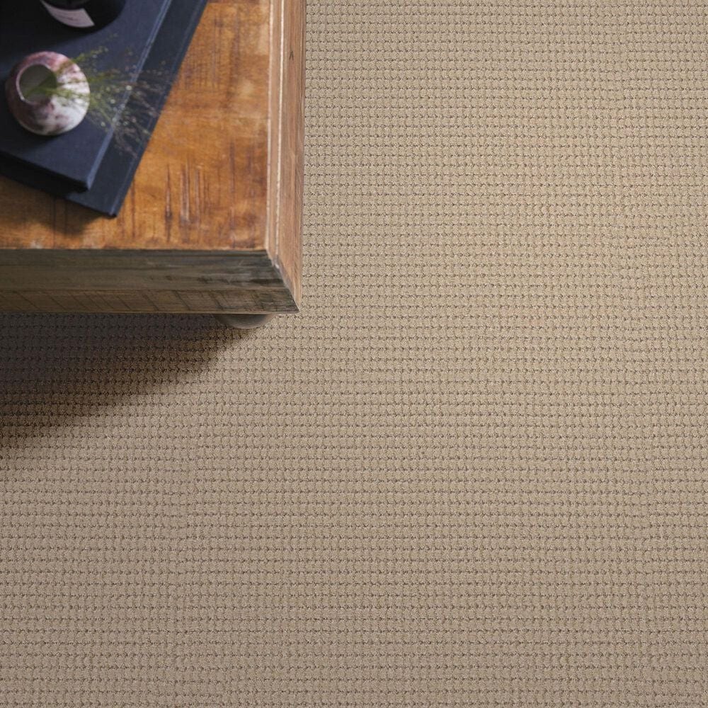 Anderson Tuftex Rhode Carpet in Cork, , large