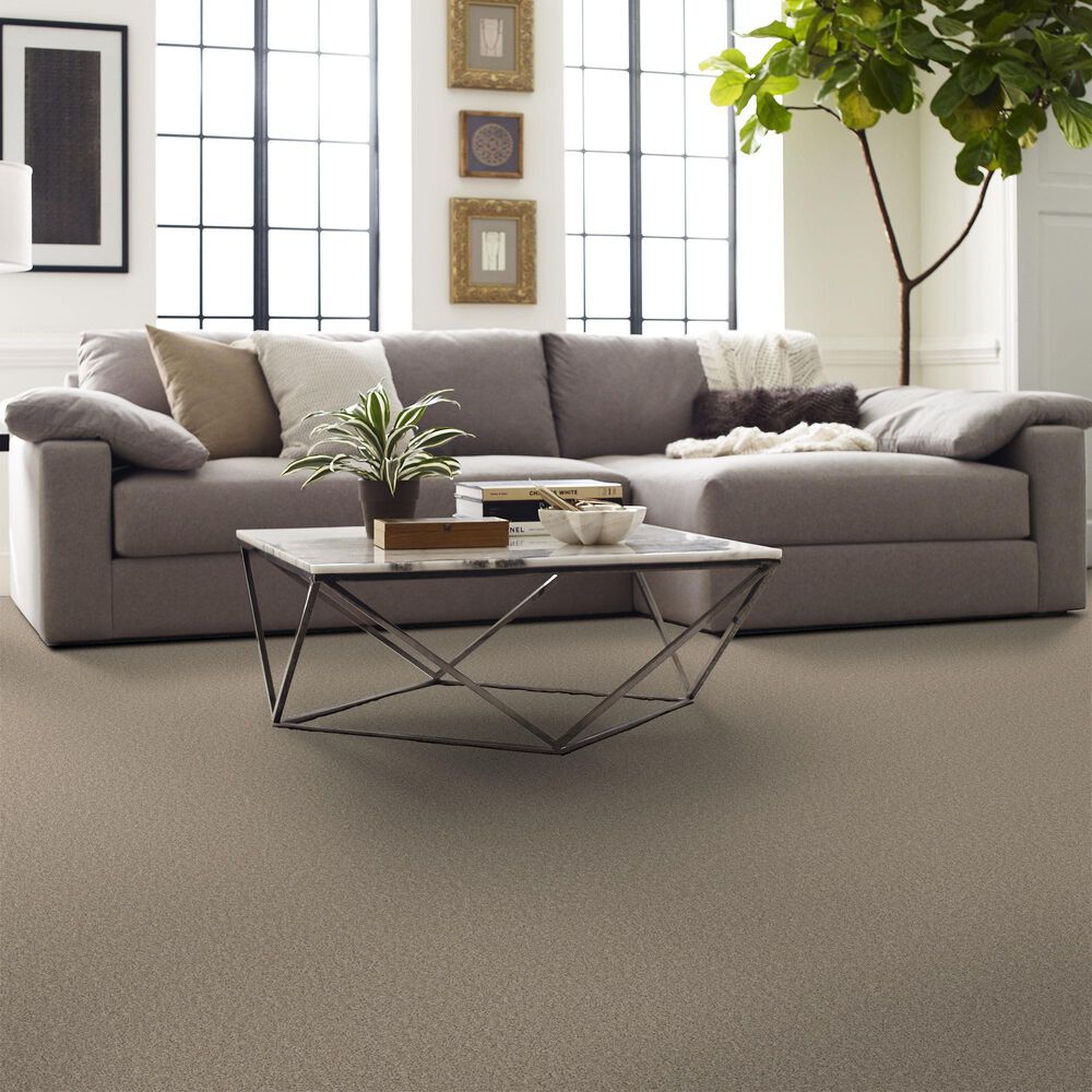 Shaw Affirmation II Carpet in Loft Light, , large