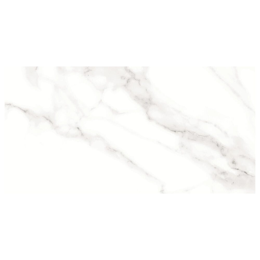 Emser Contessa Dama 3" x 6" Polished Porcelain Tile, , large