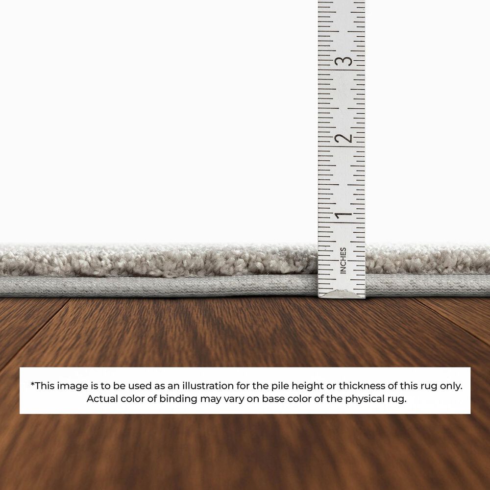 Dalyn Rug Company Kenner Gray 3' x 5' Indoor/Outdoor Area Rug, , large