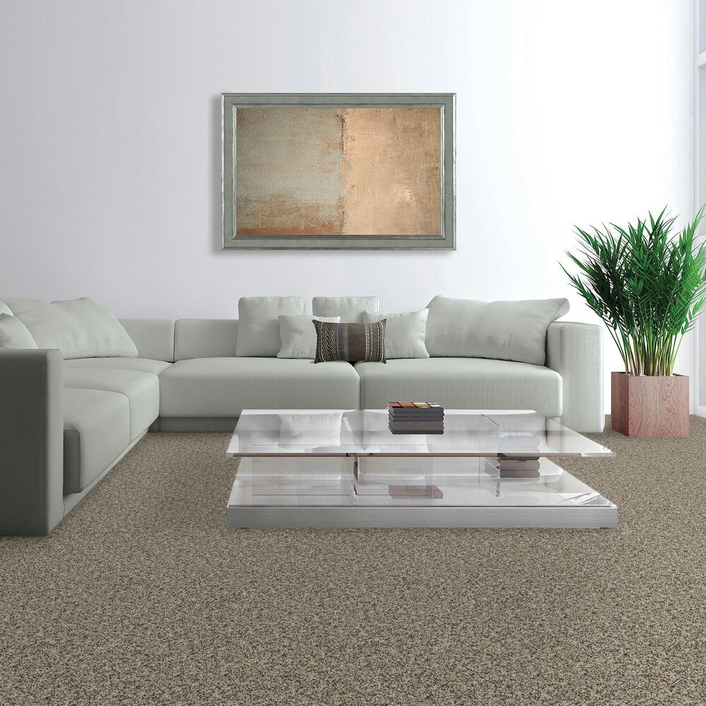 Mohawk Purrsonality III Carpet in Highway, , large