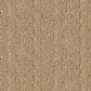 Anderson Tuftex Vignette Carpet in Celebration, , large