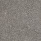 Anderson Tuftex Barracan Classic II Carpet in Barnboard, , large