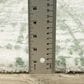 Oriental Weavers Galileo GAL09 Green and Ivory 7"10" x 10"10" Area Rug, , large