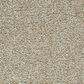Mohawk Cozy Companion III Carpet in Coconut, , large