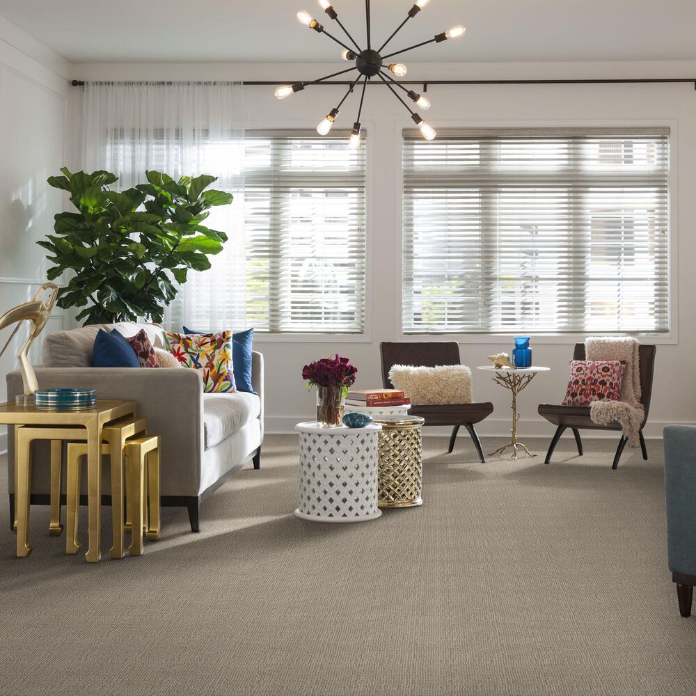Anderson Tuftex Loredo Carpet in Cocoa Sand, , large