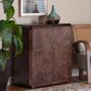 Baxton Studio Valora Storage Cabinet in Dark Walnut Brown, , large