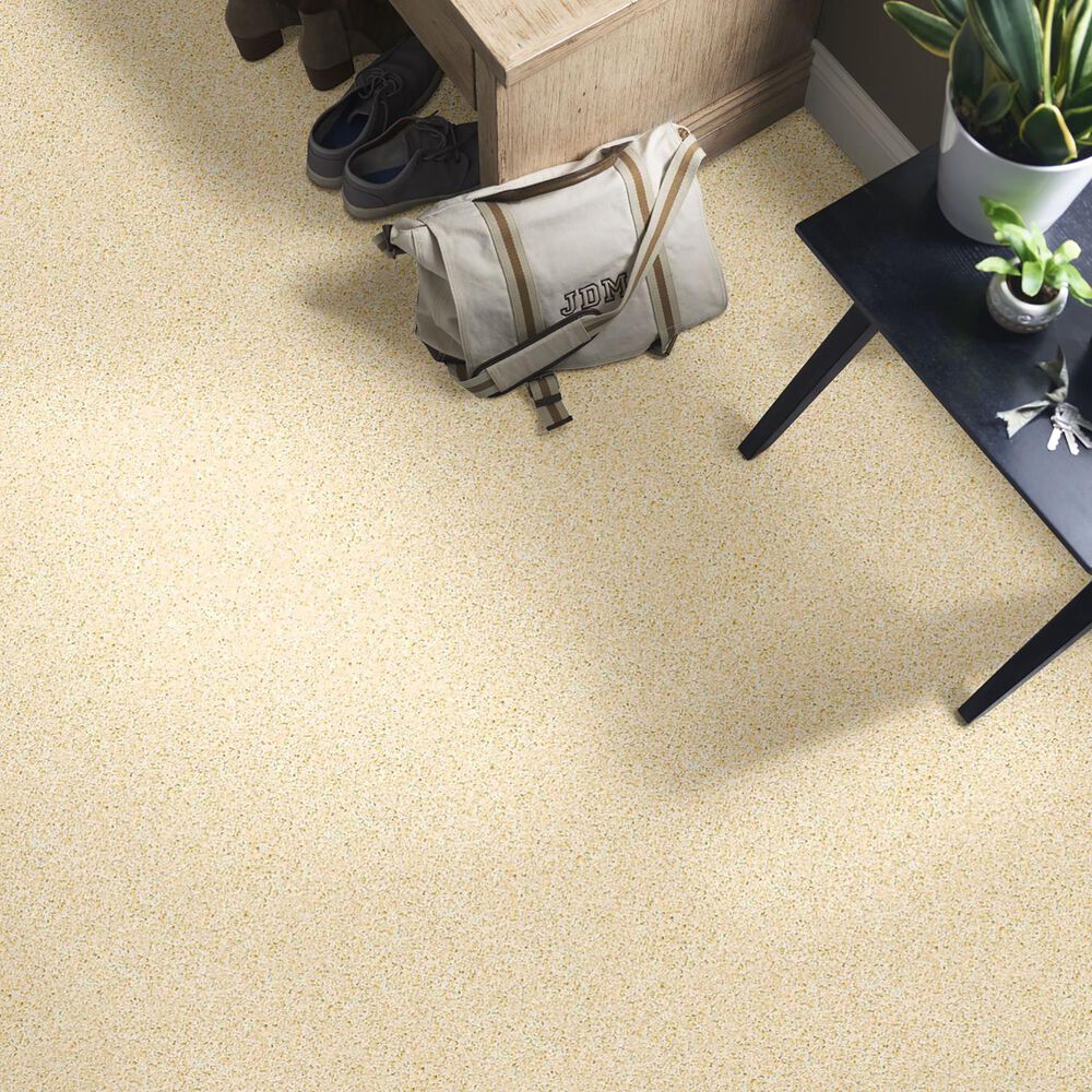 Anderson Tuftex Showbiz Carpet in Muse, , large