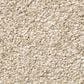 Shaw Tonal Comfort Ii Carpet in Happy Place, , large