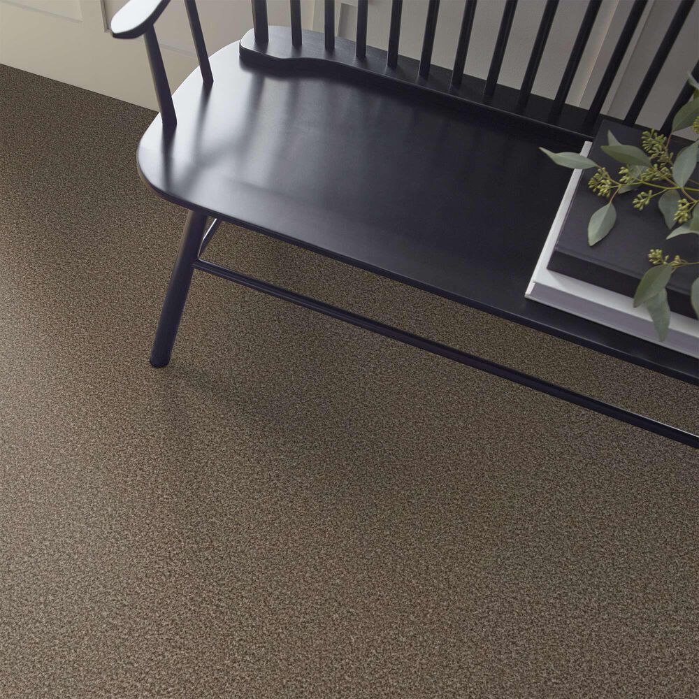 Shaw Renewed Energy II Carpet in Freckles, , large