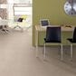 Anderson Tuftex Fur-Ever Carpet in Old Country, , large