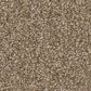Anderson Tuftex Cypress Falls Carpet in Terra, , large