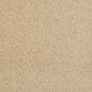 Masland Miami Carpet in Low Tide, , large