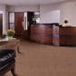 Shaw Capital III Carpet in Land Slide, , large