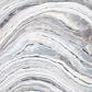 Safavieh Cyrus Shag CYR124A 6"7" x 9"2" Ivory and Grey Area Rug, , large