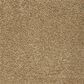 Mohawk Dahlia Harbor Carpet in Tortoise Comb, , large