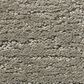 Anderson Tuftex Artistry Carpet in Intrigue, , large