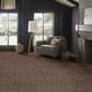 Anderson Tuftex Loom Carpet in Wild Mustang, , large