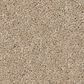Anderson Tuftex Enduring Charm Carpet in Buff, , large