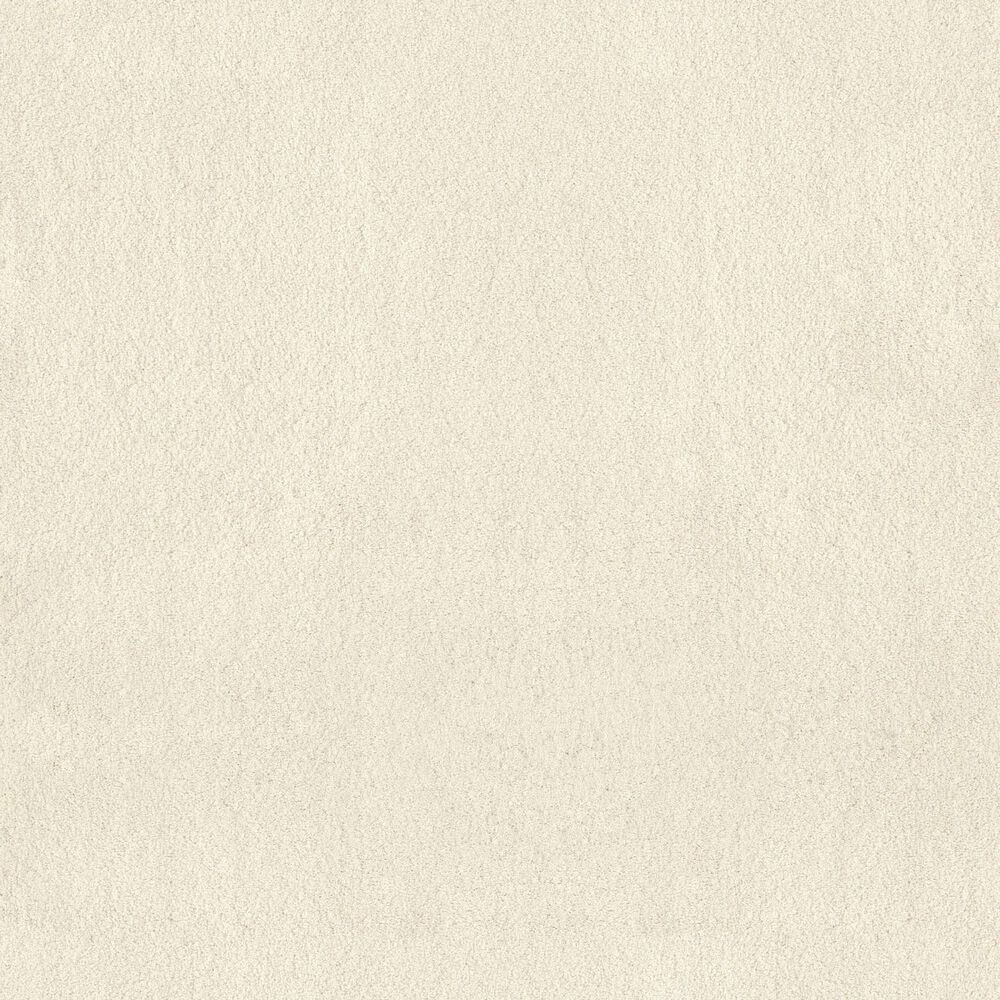 Anderson Tuftex Luxe Feel I Carpet in Icelandic, , large