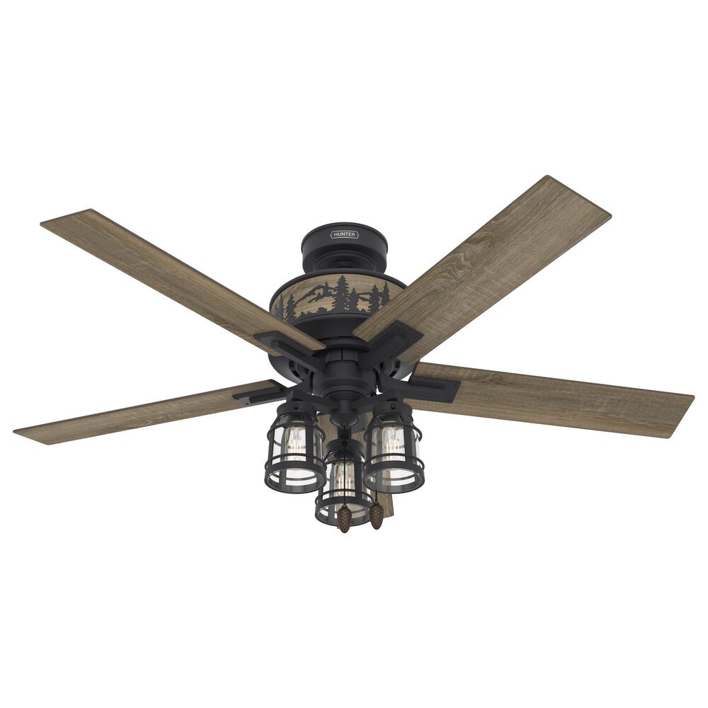 Hunter Mt. Vista 52" Ceiling Fan with LED Lights in Natural Iron, , large