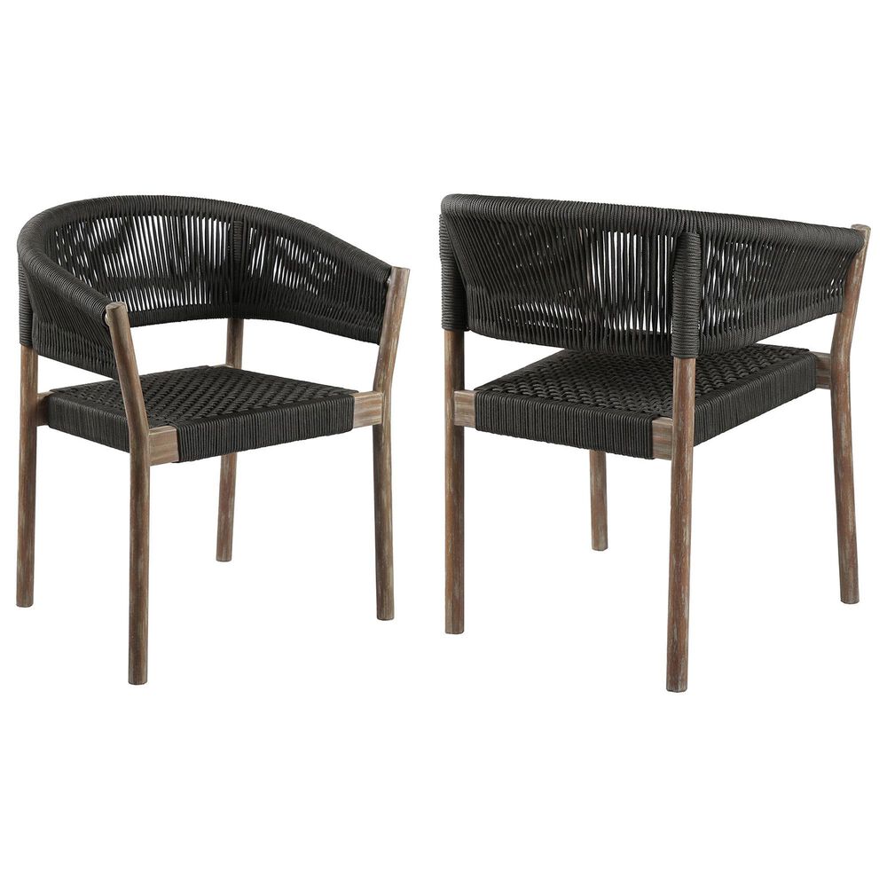 Blue River Doris Patio Dining Chair in Light Eucalyptus and Charcoal &#40;Set of 2&#41;, , large