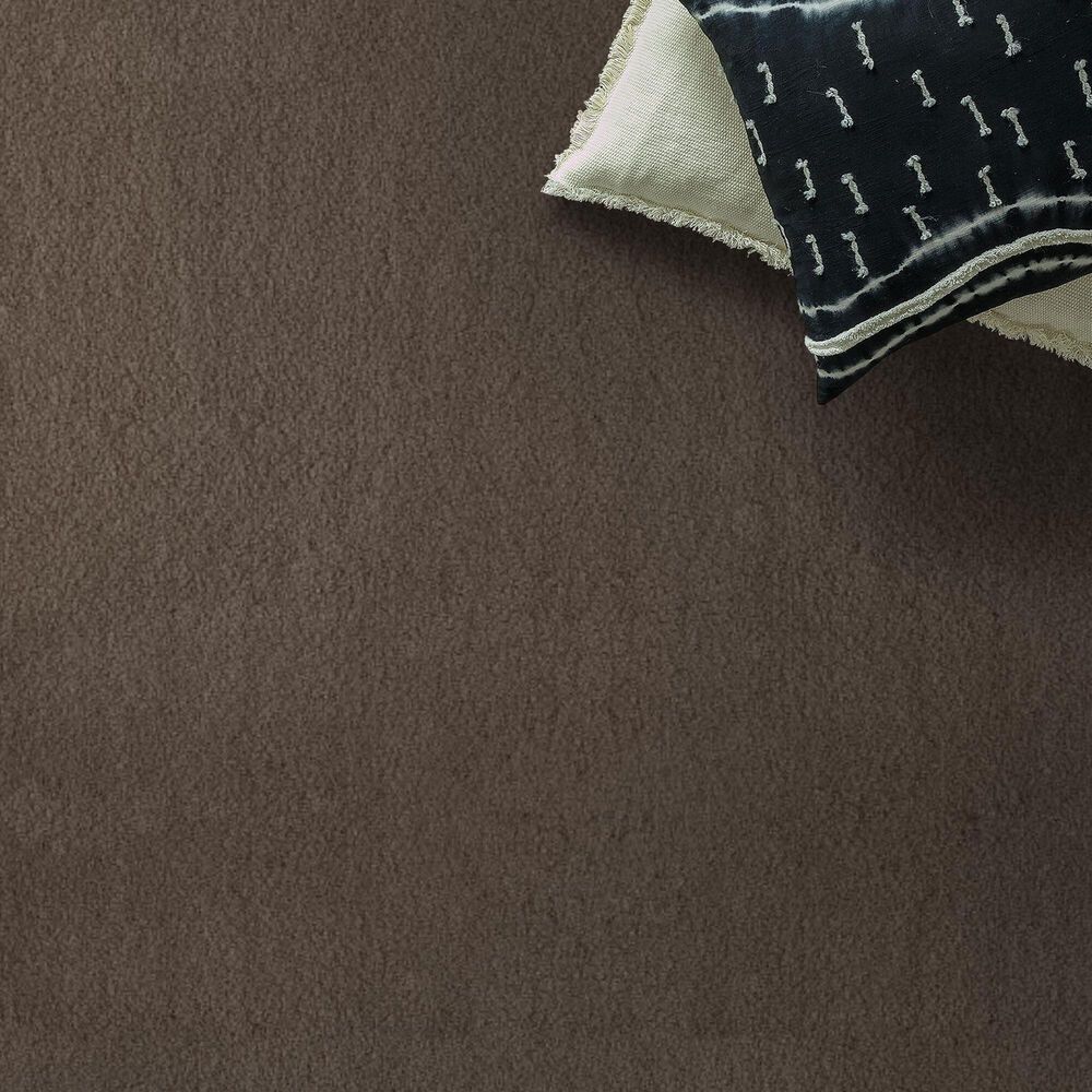 Anderson Tuftex Luxe Feel I Carpet in Mesquite, , large