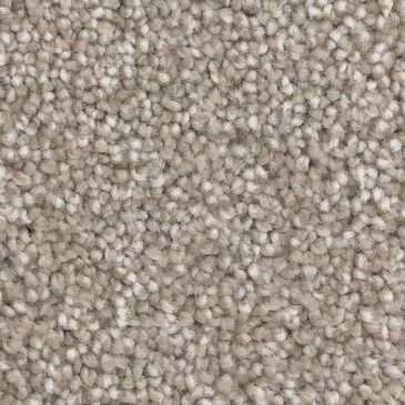 Dixie Home Dx835 Carpet in Wheat, , large