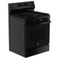 GE Appliances 30" Freestanding Gas Convection Range in Black, , large