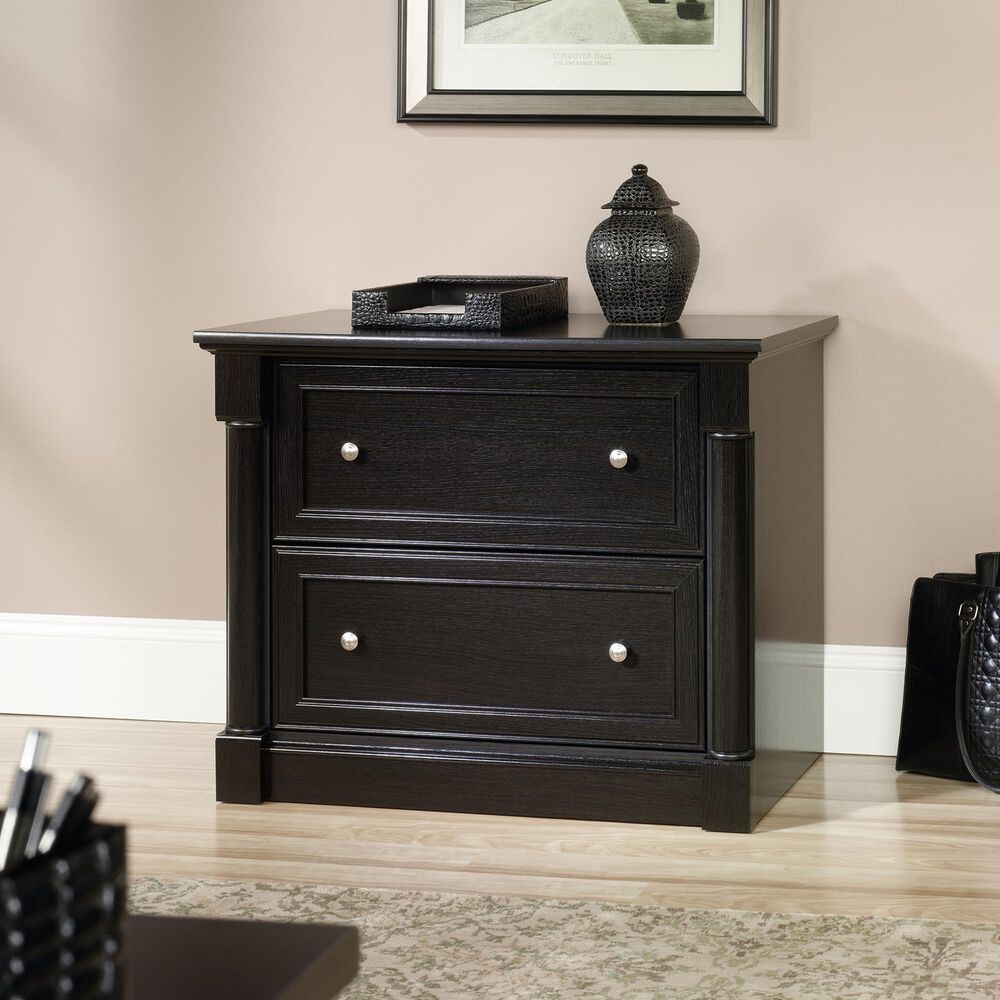 Sauder Palladia 2-Drawer Lateral File Cabinet in Wind Oak, , large