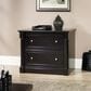Sauder Palladia 2-Drawer Lateral File Cabinet in Wind Oak, , large