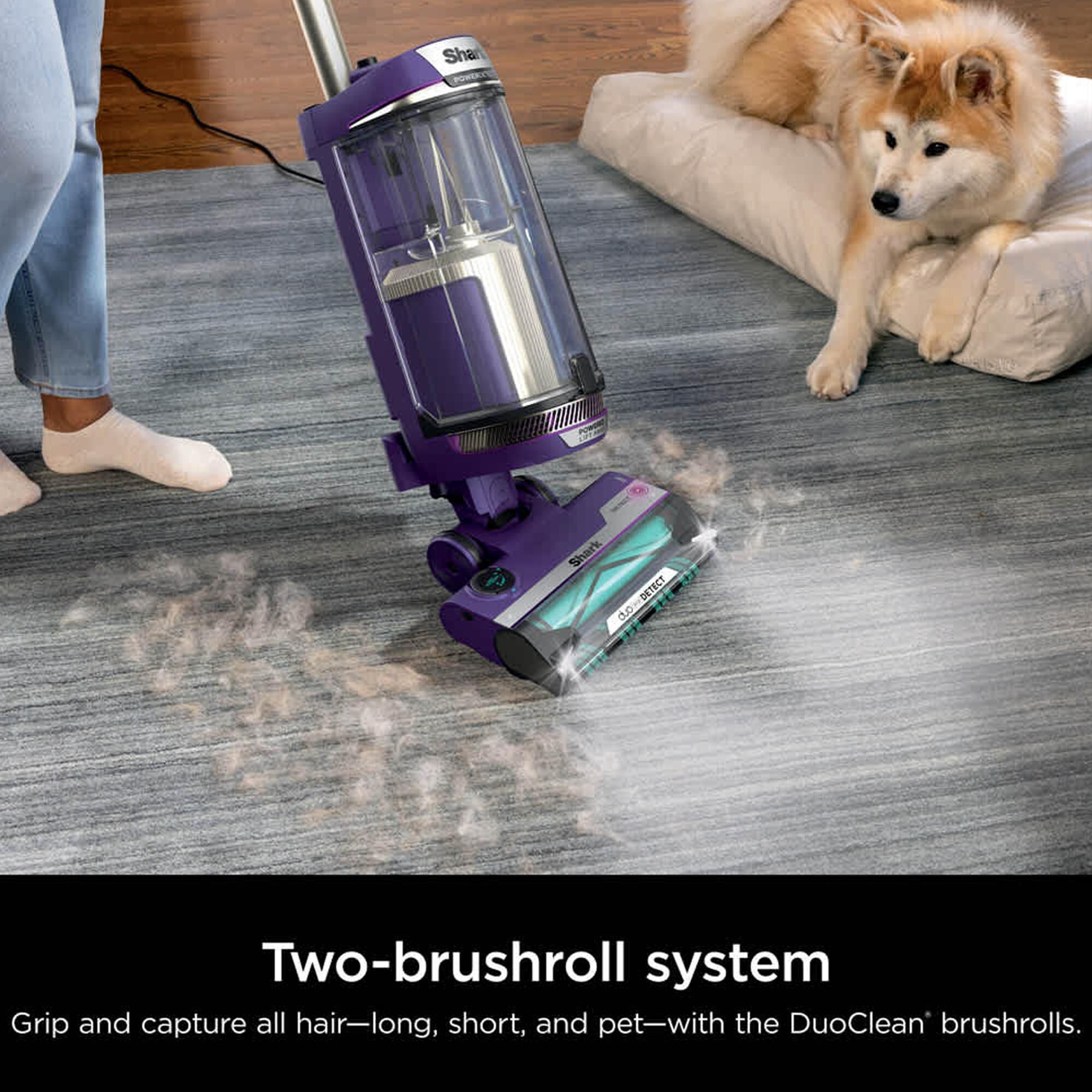 Shark DuoClean Detect Technology Upright Vacuum in Eggplant