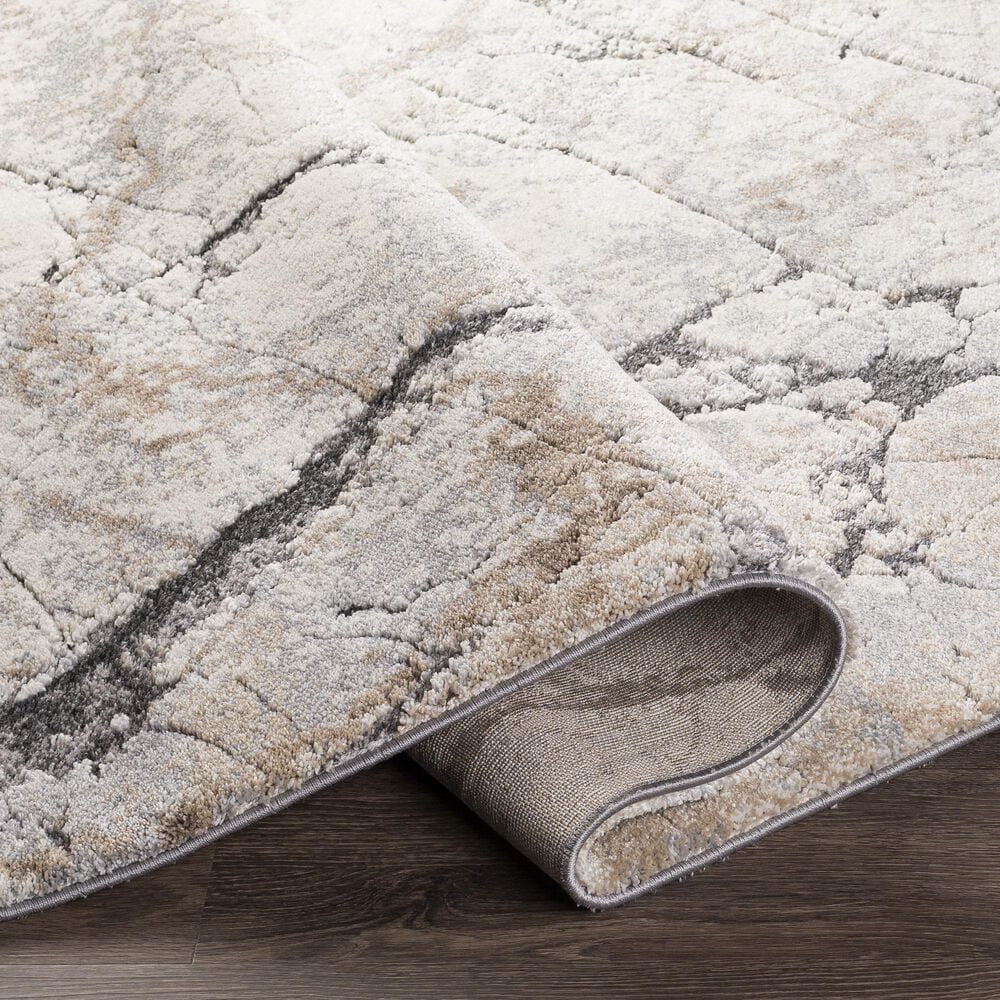 Surya Tuscany TUS-2314 2&#39; x 3&#39; Cream, Khaki, Gray and Charcoal Area Rug, , large