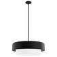 Hunter Station 4-Light Pendant in Natural Iron, , large