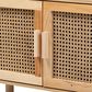 Baxton Studio Faulkner 2-Door Bookcase in Beige and Natural Brown, , large