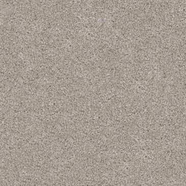 Dixie Home Trapper Carpet in Maltese, , large