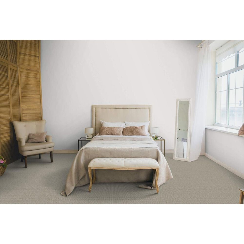 Dixie Home Pleasant Valley Carpet in Timber, , large