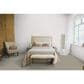 Dixie Home Pleasant Valley Carpet in Timber, , large