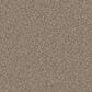 Masland Hawkshaw Carpet in Shiloh, , large