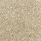 Mohawk Assorted Elements II Carpet in Cross Country, , large