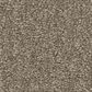 Shaw Las Cruces Carpet in Barn Wood, , large