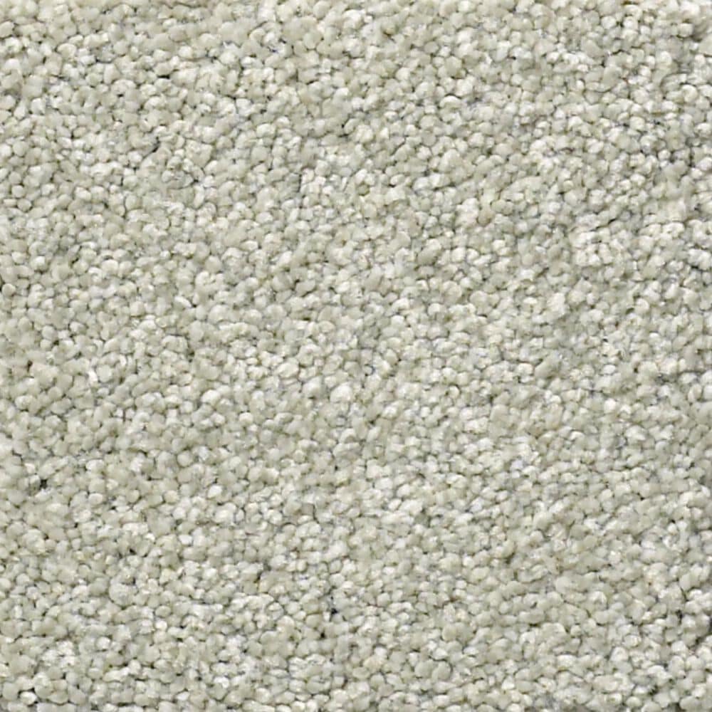 Shaw Your Comfort I Carpet in Willow Tree, , large