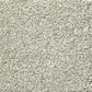 Shaw Your Comfort I Carpet in Willow Tree, , large