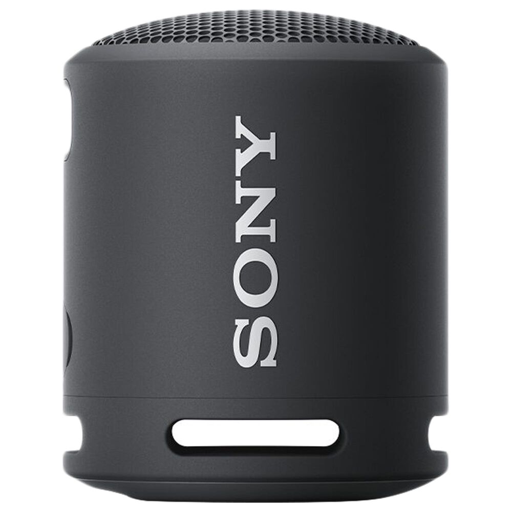 Sony Portable Wireless Speaker in Black, , large