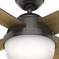Hunter Dempsey 52" Ceiling Fan with Lights in Noble Bronze, , large