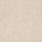Shaw Del Morro Carpet in Desert Star, , large